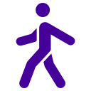walking icon